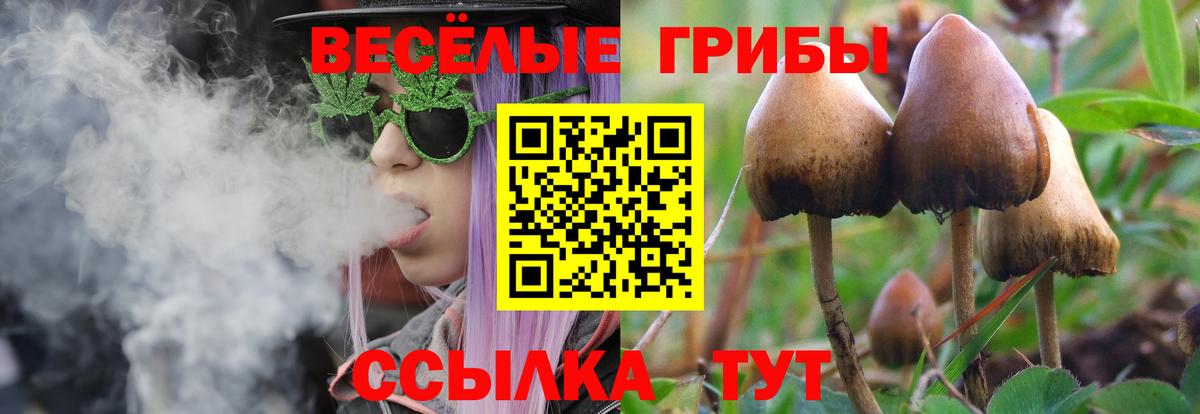 Галлюциногенные грибы мицелий  Вход с VPN  Сызрань  купить   Галлюциногенные грибы MAGIC MUSHROOMS 